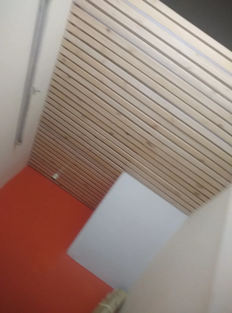 IMG_20210731_190458_1